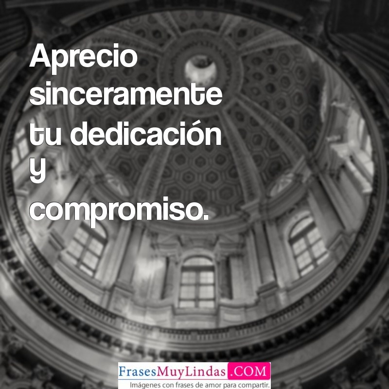 **Frases en Español para Expresar Reconocimiento y Agradecimiento** 