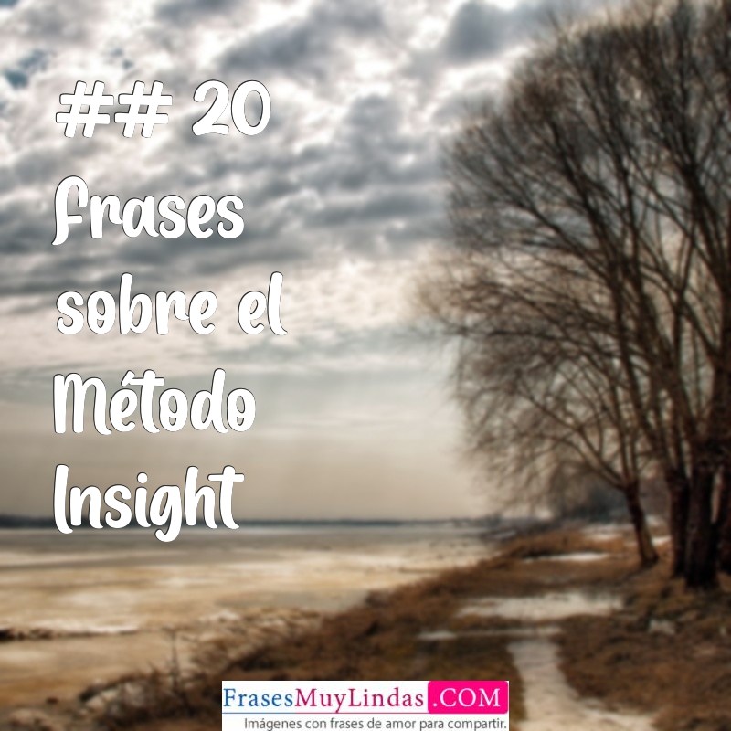 metodo insight ## 20 Frases sobre el Método Insight